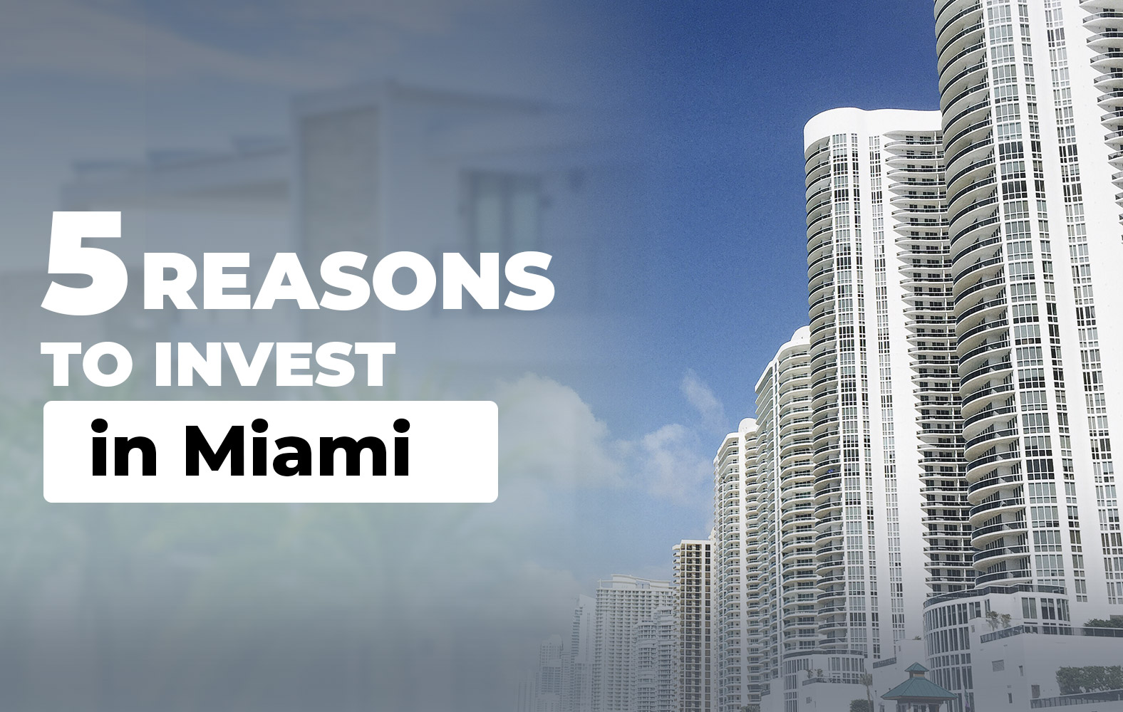 Reasons to invest in Miami